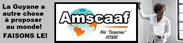 Formation banniere logo 1