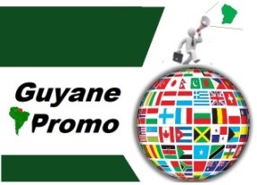 Gyaune promo