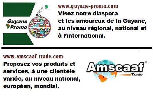 Texte pub guyane promo et trade